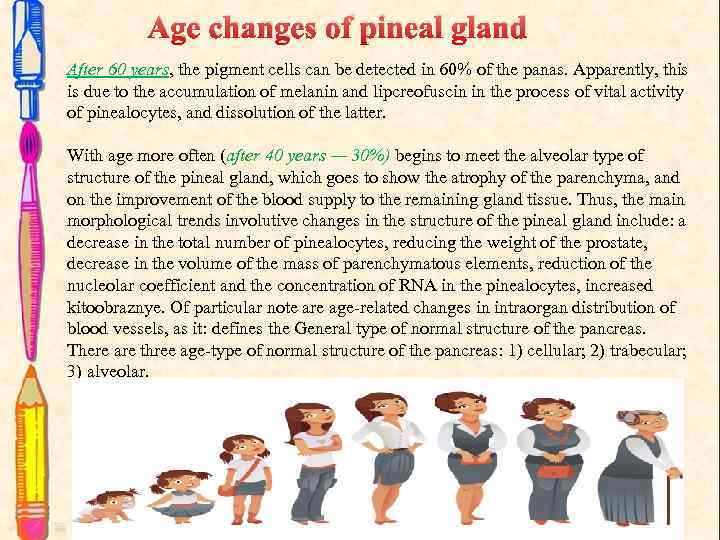 Age changes of pineal gland After 60 years, the pigment cells can be detected