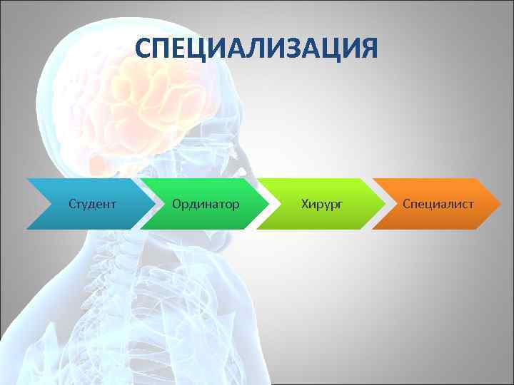 СПЕЦИАЛИЗАЦИЯ Студент Ординатор Хирург Специалист 