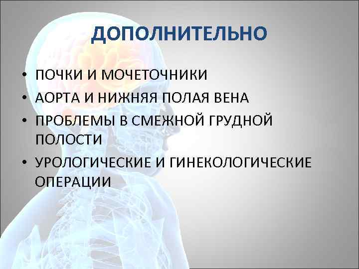 ДОПОЛНИТЕЛЬНО • ПОЧКИ И МОЧЕТОЧНИКИ • АОРТА И НИЖНЯЯ ПОЛАЯ ВЕНА • ПРОБЛЕМЫ В