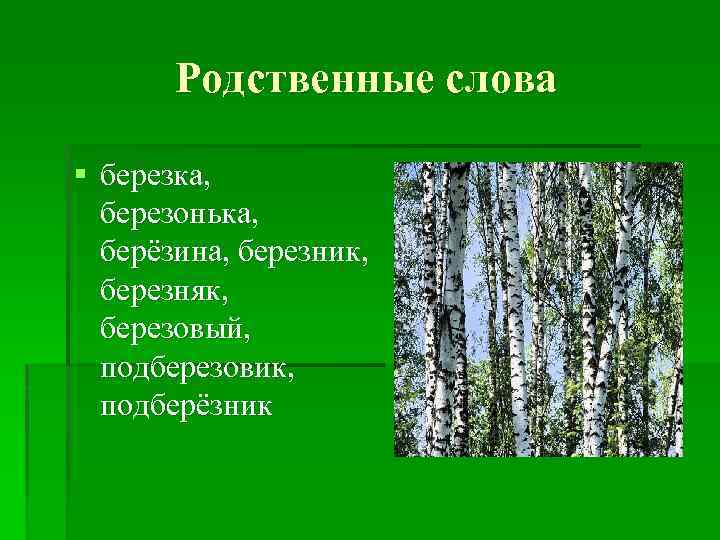 Родственные слова § березка, березонька, берёзина, березник, березняк, березовый, подберезовик, подберёзник 