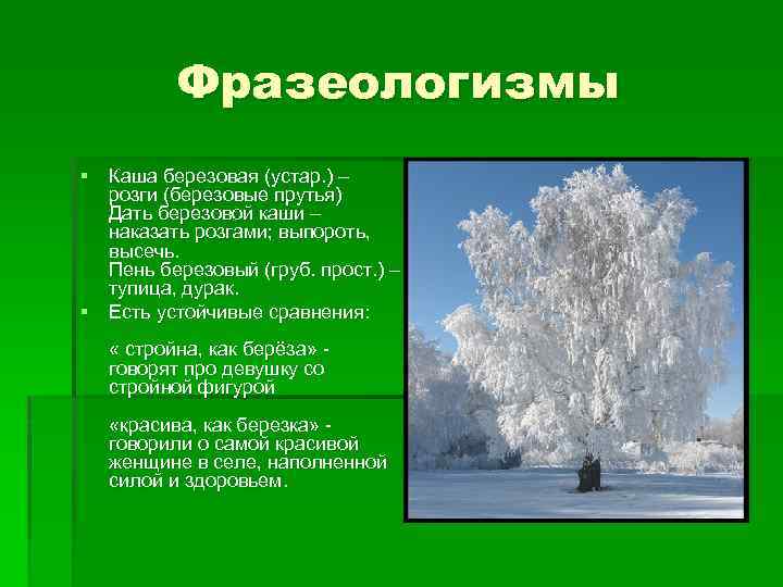 Березова каша фразеологізм значення