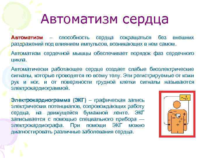 Автоматизм сердца Автоматизм – способность сердца сокращаться без внешних раздражений под влиянием импульсов, возникающих