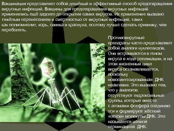 Вакцинация представляет собой дешёвый и эффективный способ предотвращения вирусных инфекций. Вакцины для предотвращения вирусных