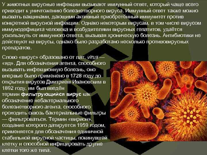 У животных вирусные инфекции вызывают иммунный ответ, который чаще всего приводит к уничтожению болезнетворного