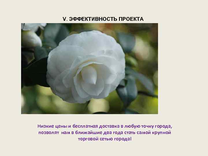 V. ЭФФЕКТИВНОСТЬ ПРОЕКТА Низкие цены и бесплатная доставка в любую точку города, позволят нам