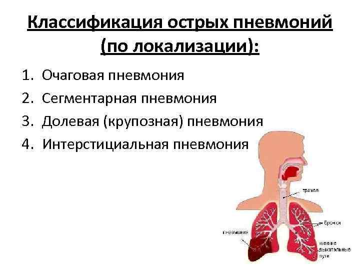 Классификация острых пневмоний (по локализации): 1. 2. 3. 4. Очаговая пневмония Сегментарная пневмония Долевая