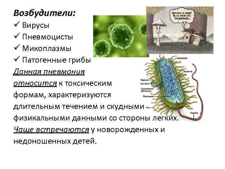 Возбудители: ü Вирусы ü Пневмоцисты ü Микоплазмы ü Патогенные грибы Данная пневмония относится к