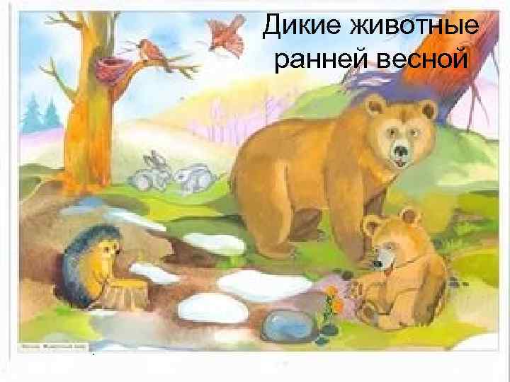 Дикие животные ранней весной . 