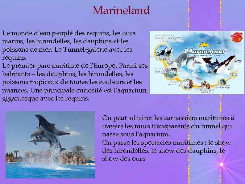 Marineland Le monde d'eau peuplé des requins, les ours marins, les hirondelles, les dauphins