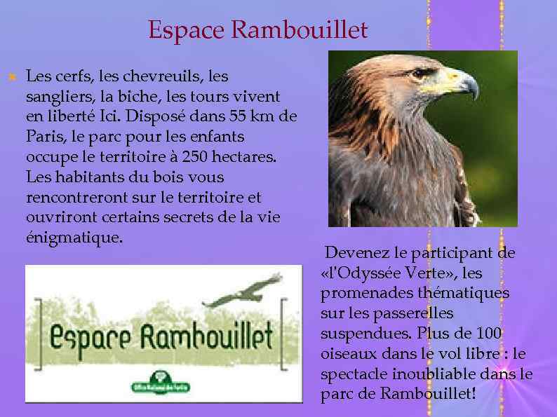 Espace Rambouillet Les cerfs, les chevreuils, les sangliers, la biche, les tours vivent en