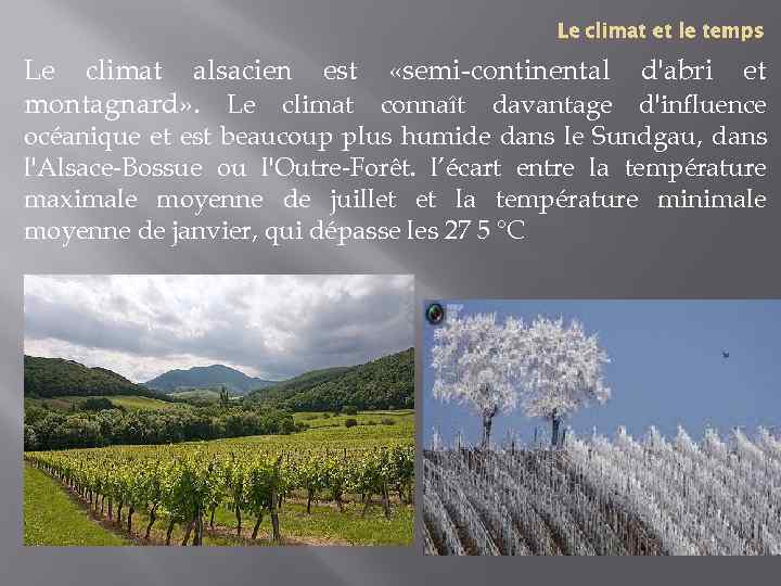 Le climat et le temps Le climat alsacien est «semi-continental d'abri et montagnard» .