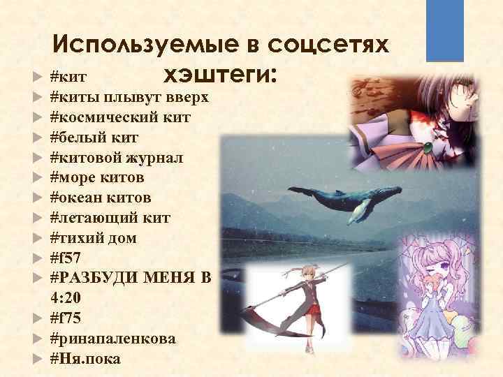 Используемые в соцсетях #кит хэштеги: #киты плывут вверх #космический кит #белый кит #китовой журнал