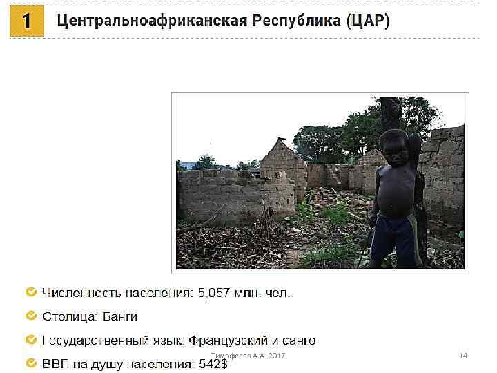 Тимофеева А. А. 2017 14 