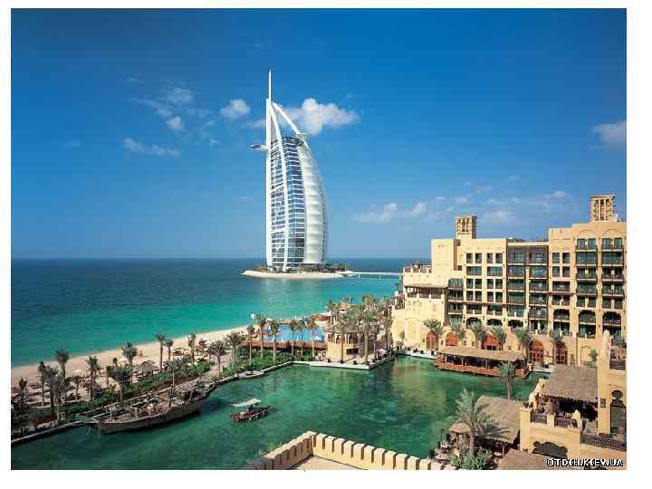 Тимофеева А. А. 2017 23 