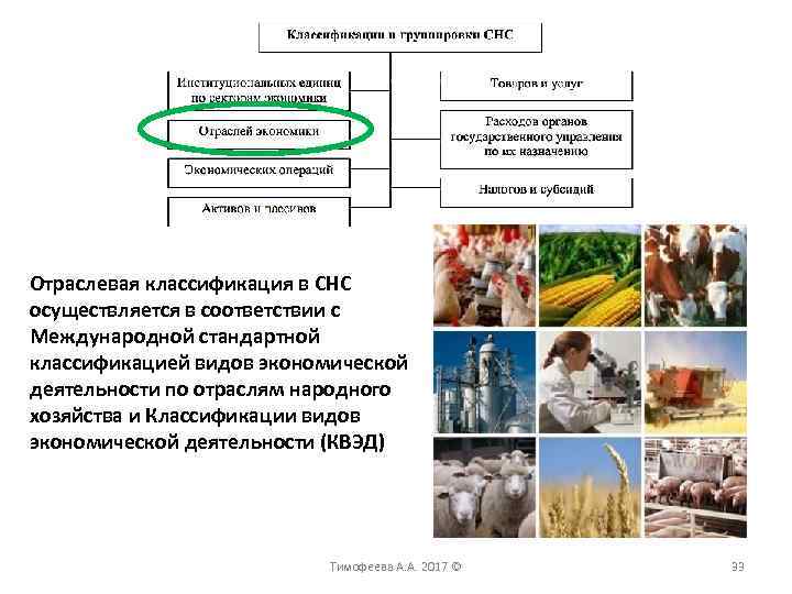 Отраслевая классификация в СНС осуществляется в соответствии с Международной стандартной классификацией видов экономической деятельности