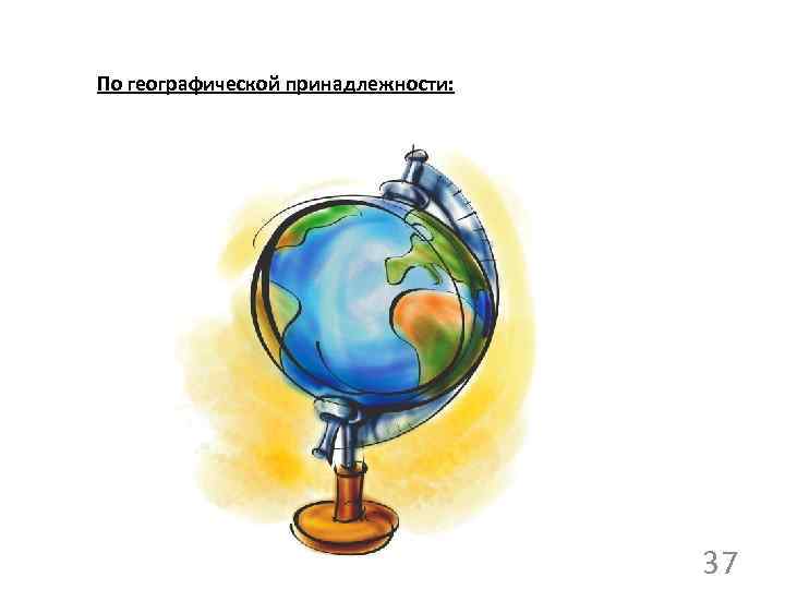 По географической принадлежности: 37 