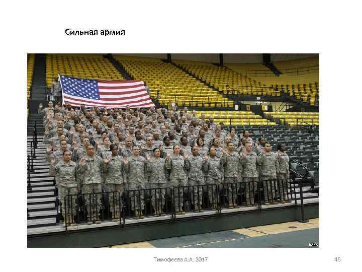 Сильная армия Тимофеева А. А. 2017 46 
