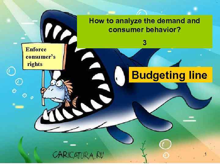 How to analyze the demand consumer behavior? Enforce consumer’s rights 3 Budgeting line 1