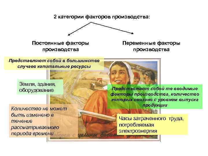 2 категории факторов производства: Постоянные факторы производства Переменные факторы производства Представляют собой в большинстве