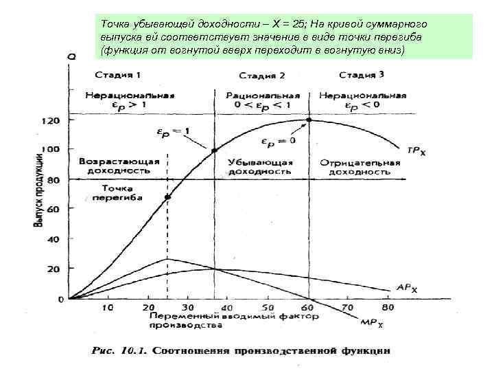 Точка убывающей доходности – Х в 25; На кривой интервале; Предельный продукт возрастает =