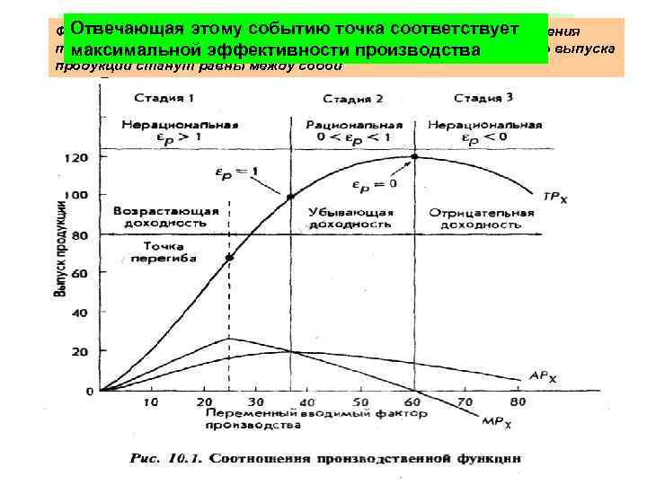 Средний выпуска достигает своего максимального значения Отвечающая этому событию точка соответствует Функция среднего продукции