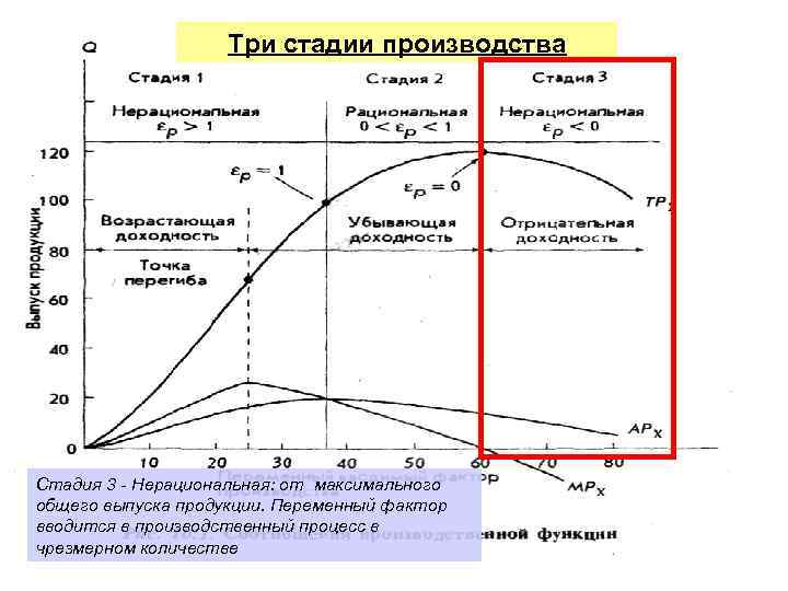 Три стадии производства Стадия 3 - Нерациональная: от максимального общего выпуска продукции. Переменный фактор