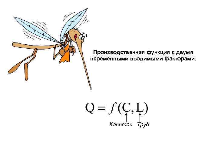 Производственная функция с двумя переменными вводимыми факторами: Капитал Труд 
