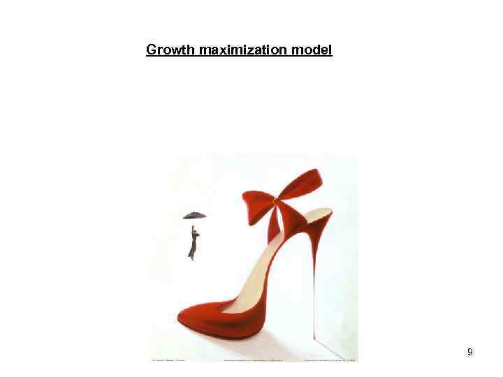Growth maximization model 9 