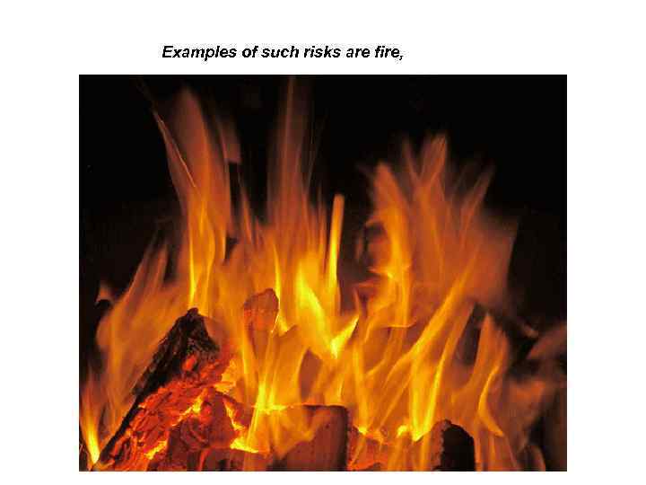 Examples of such risks are fire, 