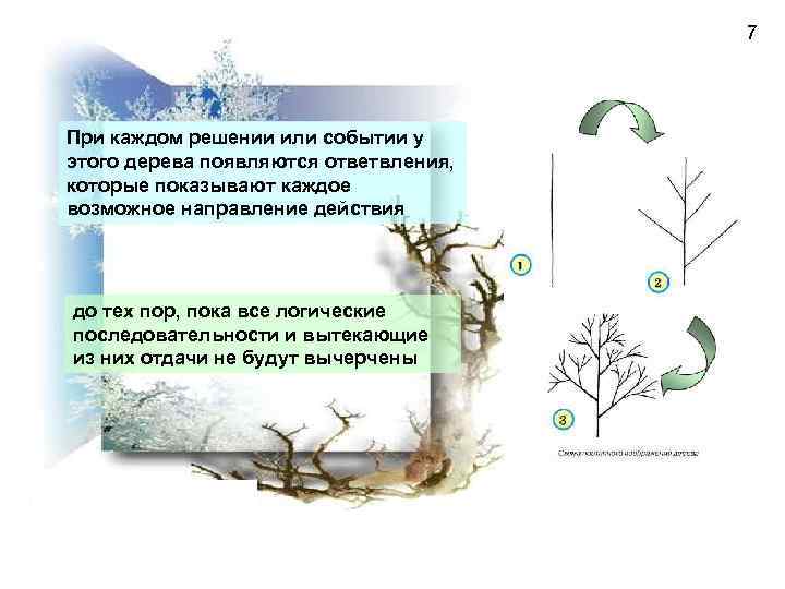 7 При каждом решении или событии у этого дерева появляются ответвления, которые показывают каждое