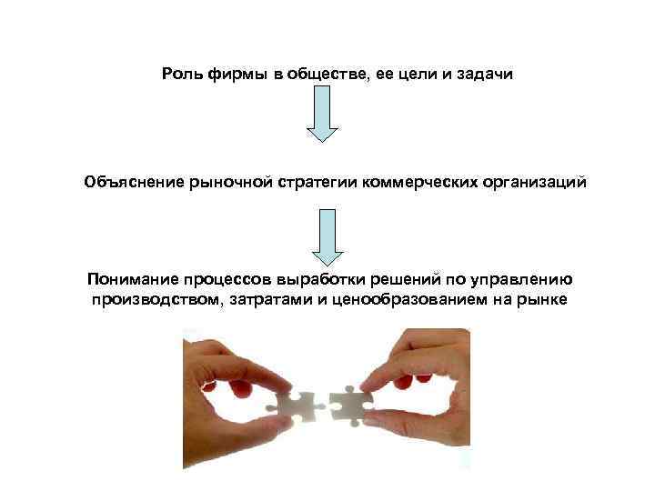 Роль фирмы в обществе, ее цели и задачи Объяснение рыночной стратегии коммерческих организаций Понимание