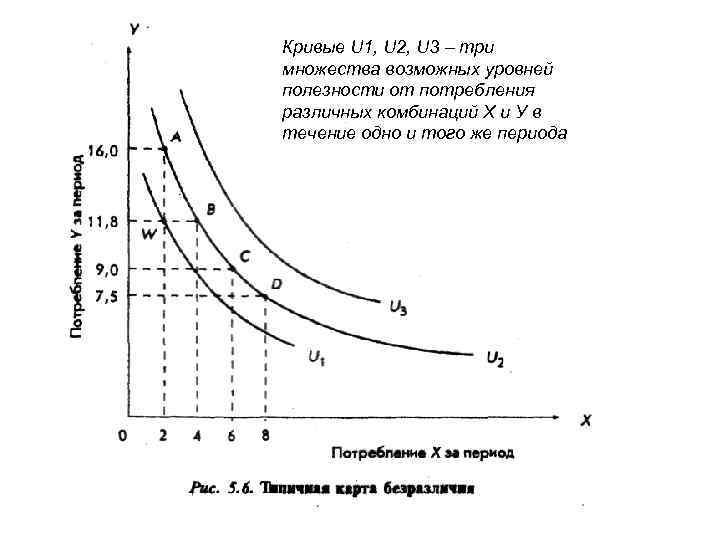 Кривые U 1, U 2, U 3 – три множества возможных уровней полезности от
