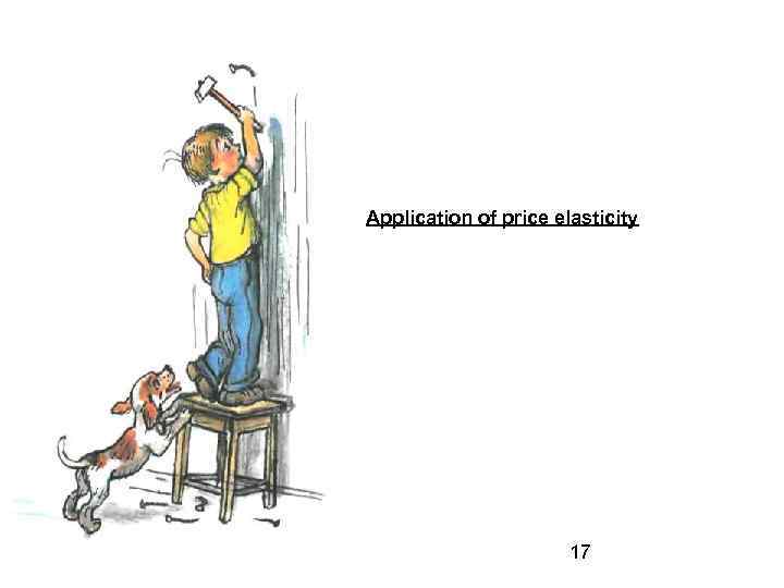 Application of price elasticity 17 