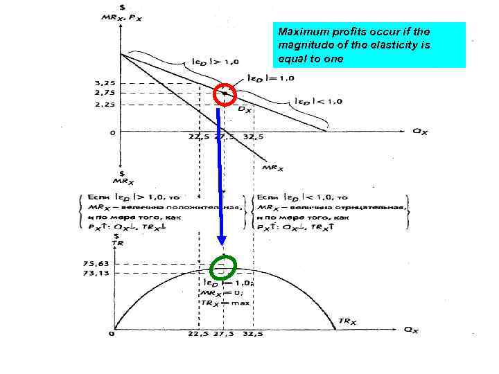 Maximum profits occur if the magnitude of the elasticity is equal to one 6