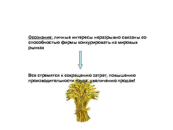 Осознание: личные интересы неразрывно связаны со способностью фирмы конкурировать на мировых рынках Все стремятся