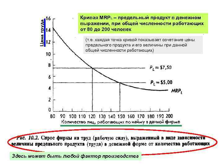 Кривая MRPL – предельный продукт в денежном выражении, при общей численности работающих от 80