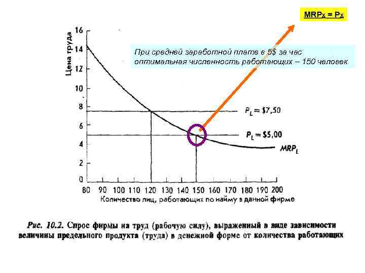 MRPX = PX При средней заработной плате в 5$ за час оптимальная численность работающих