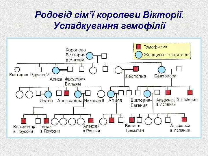 Родовід сім’ї королеви Вікторії. Успадкування гемофілії 