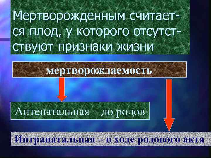 Мертворожденным считает ся плод, у которого отсутст ствуют признаки жизни мертворождаемость Антенатальная – до