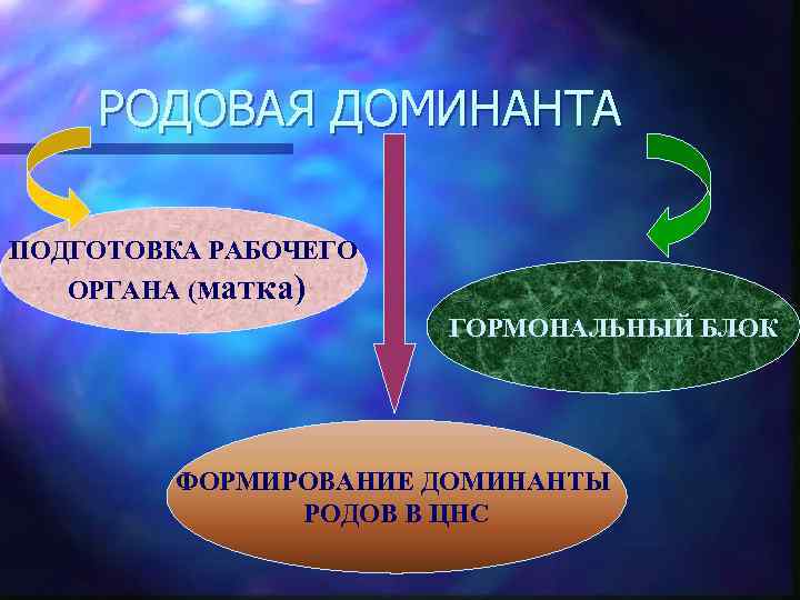 РОДОВАЯ ДОМИНАНТА ПОДГОТОВКА РАБОЧЕГО ОРГАНА (матка) ГОРМОНАЛЬНЫЙ БЛОК ФОРМИРОВАНИЕ ДОМИНАНТЫ РОДОВ В ЦНС 