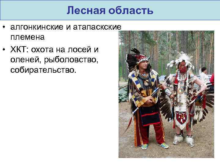 Лесная область • алгонкинские и атапаскские племена • ХКТ: охота на лосей и оленей,