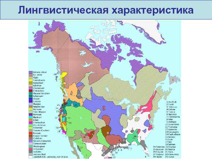 Лингвистическая характеристика 