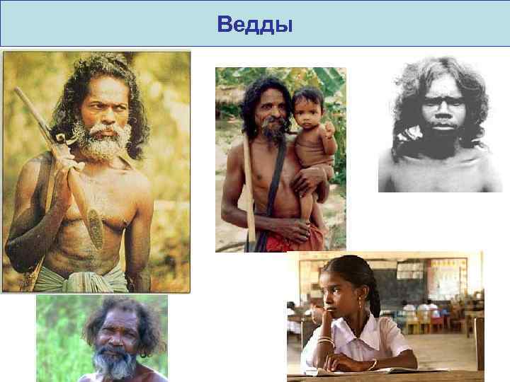 Ведды 