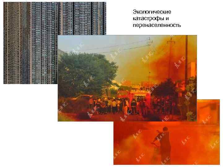Экологические катастрофы и перенаселенность 