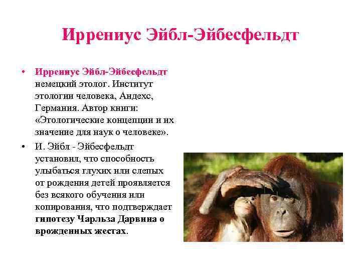 Иррениус Эйбл-Эйбесфельдт • Иррениус Эйбл-Эйбесфельдт немецкий этолог. Институт этологии человека, Андехс, Германия. Автор книги: