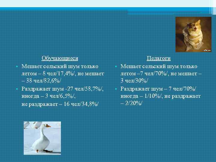 Обучающиеся • Мешает сельский шум только летом – 8 чел/17, 4%/, не мешает –
