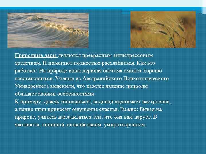 Природные дары являются прекрасным антистрессовым средством. И помогают полностью расслабиться. Как это работает: На