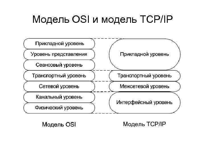 Модель OSI и модель TCP/IP 