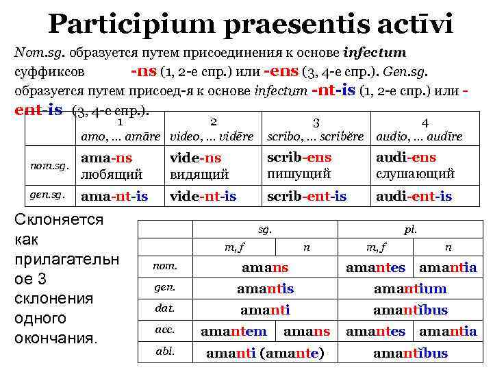 Роды прошедшего времени. Причастия в латыни. Причастие будущего времени действительного залога латынь. Причастия в латинском языке таблица. Образование причастий в латинском языке.