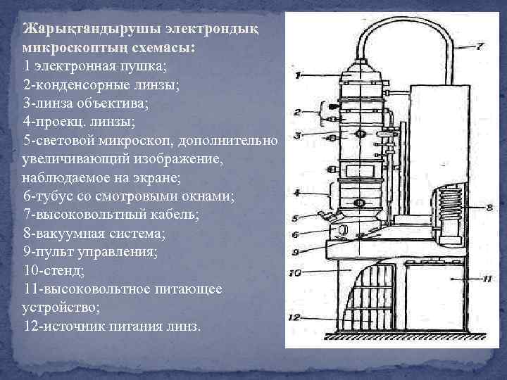 Жарықтандырушы электрондық микроскоптың схемасы: 1 электронная пушка; 2 -конденсорные линзы; 3 -линза объектива; 4